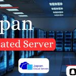 Securing Your Digital Future with Japan Dedicated Server Solutions